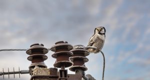 FULL NETTLEIEFORVIRRING – 86 PROSENT FORSTÅR IKKE NETTLEIEN